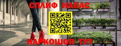 стафф Нарткала