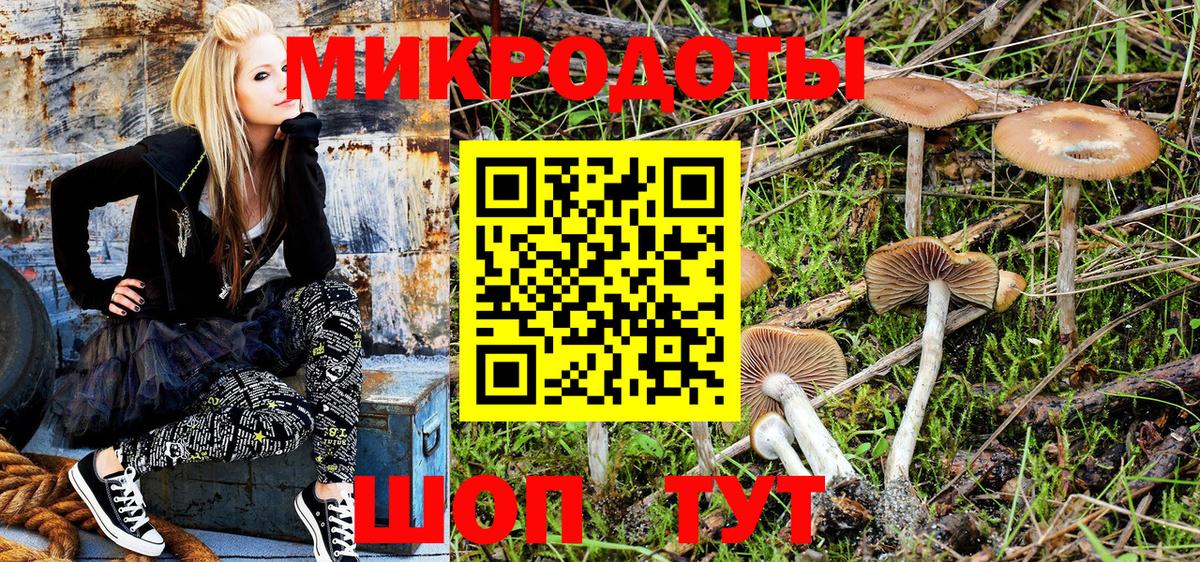 Псилоцибиновые грибы Psilocybe Рыбинск