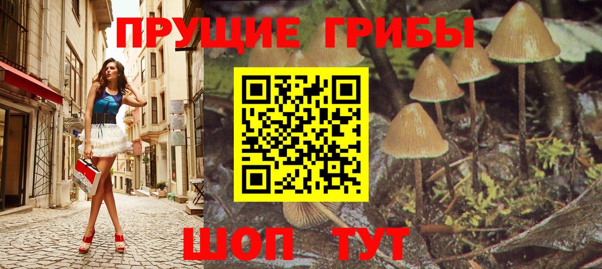Рыбинск  Псилоцибиновые грибы прущие грибы  Вход с VPN  Галлюциногенные грибы мухоморы 